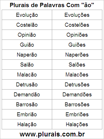 Plurais de Palavras Com ÃO no Final