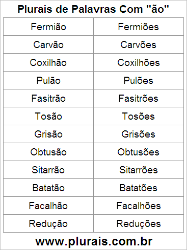 Plurais de Palavras Com ÃO no Final