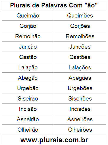 Plurais de Palavras Com ÃO no Final