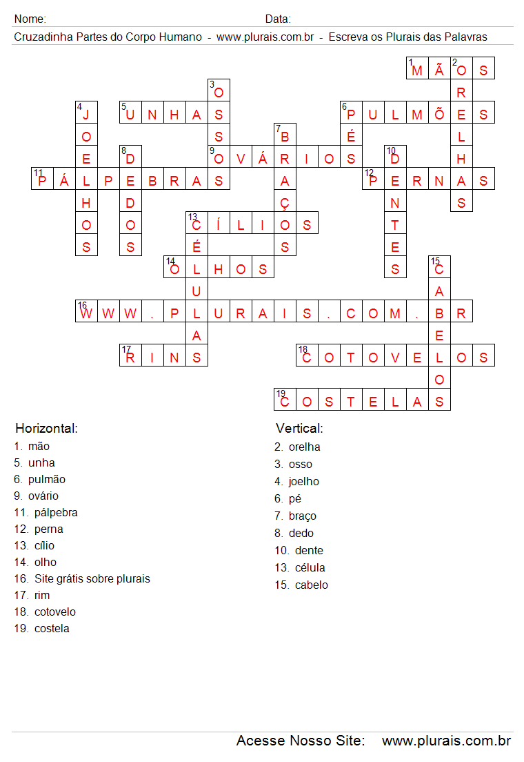 Cruzadinha Partes do Corpo Humano Respostas