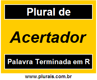 Plural de Acertador