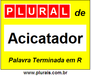 Plural de Acicatador