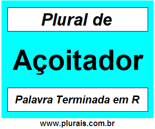 Plural de Açoitador