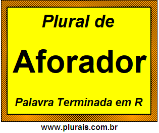 Plural de Aforador