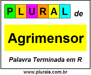 Plural de Agrimensor