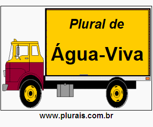 Plural de Água-Viva