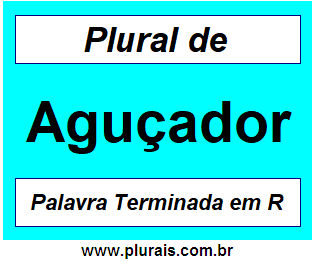 Plural de Aguçador