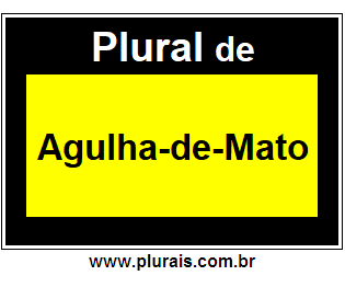 Plural de Agulha-de-Mato