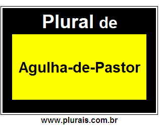 Plural de Agulha-de-Pastor