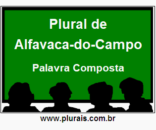 Plural de Alfavaca-do-Campo