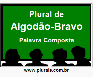 Plural de Algodão-Bravo