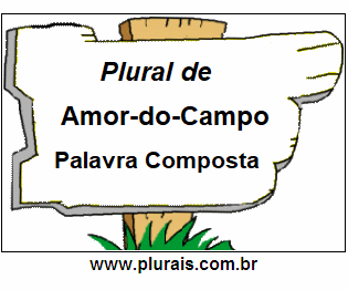 Plural de Amor-do-Campo