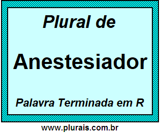 Plural de Anestesiador