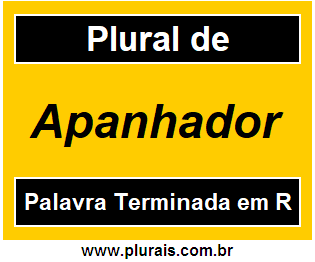 Plural de Apanhador