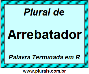 Plural de Arrebatador