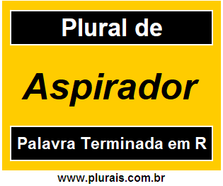 Plural de Aspirador