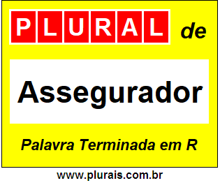 Plural de Assegurador