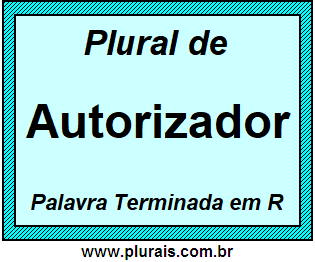 Plural de Autorizador