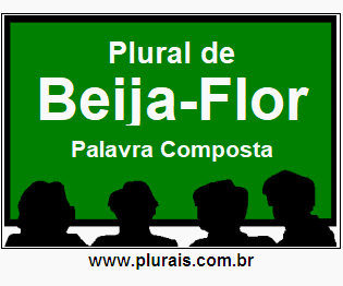 Plural de Beija-Flor