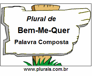 Plural de Bem-Me-Quer