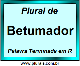 Plural de Betumador