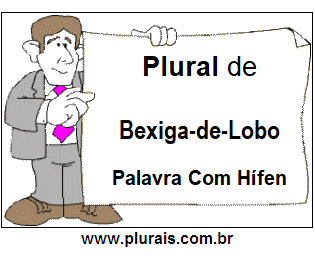 Plural de Bexiga-de-Lobo