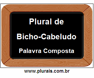 Plural de Bicho-Cabeludo