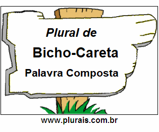 Plural de Bicho-Careta