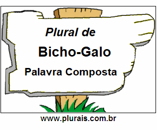Plural de Bicho-Galo
