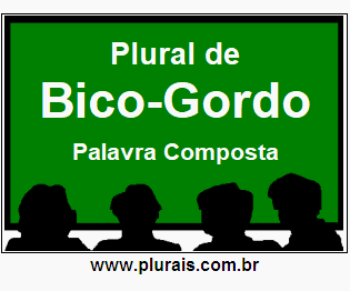 Plural de Bico-Gordo