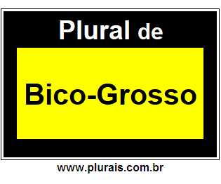 Plural de Bico-Grosso