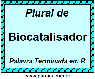 Plural de Biocatalisador
