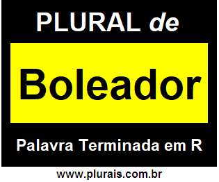 Plural de Boleador