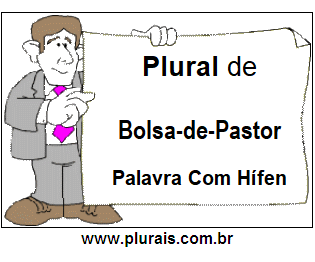 Plural de Bolsa-de-Pastor
