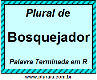 Plural de Bosquejador