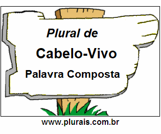 Plural de Cabelo-Vivo