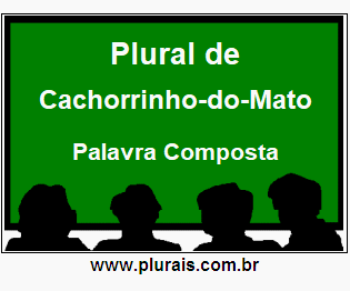 Plural de Cachorrinho-do-Mato