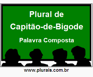 Plural de Capitão-de-Bigode