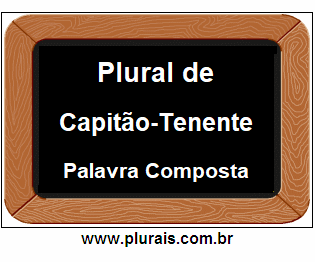 Plural de Capitão-Tenente