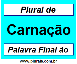 Plural de Carnação