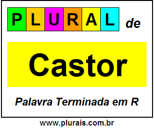 Plural de Castor