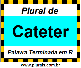 Plural de Cateter