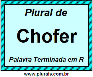 Plural de Chofer