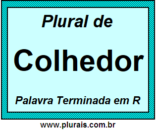 Plural de Colhedor