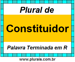 Plural de Constituidor