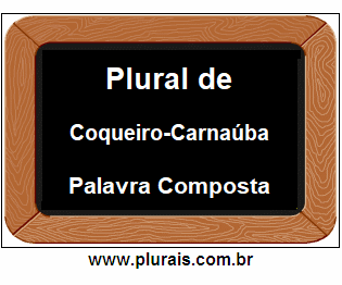 Plural de Coqueiro-Carnaúba