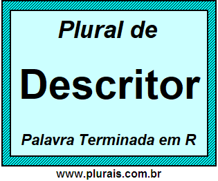 Plural de Descritor