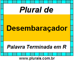 Plural de Desembaraçador