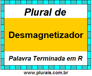 Plural de Desmagnetizador