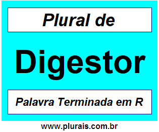 Plural de Digestor